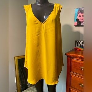 Women’s Plus Size Maurice’s Sheer Blouse ( 2 )